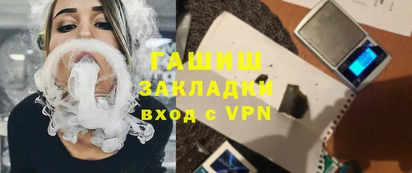 шишки Арсеньев