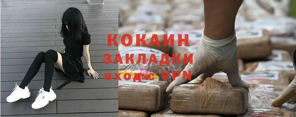 шишки Арсеньев