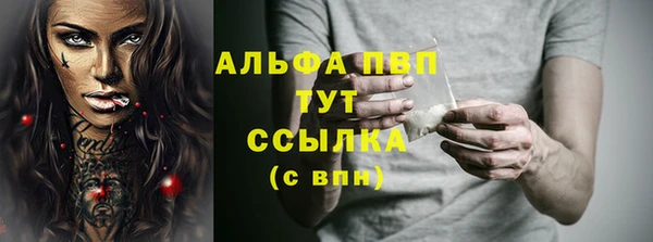 шишки Арсеньев