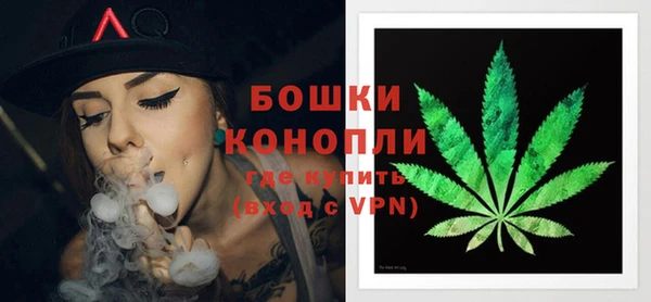 шишки Арсеньев