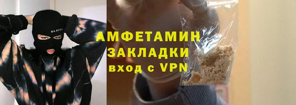 шишки Арсеньев