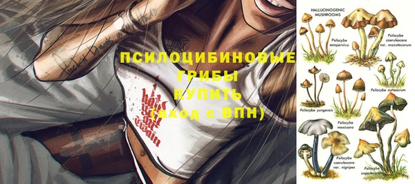 стаф Армянск