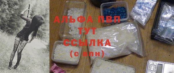 шишки Арсеньев