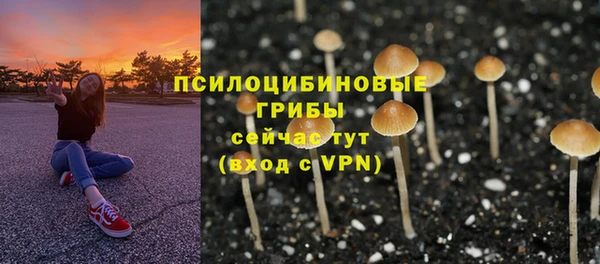 стаф Армянск