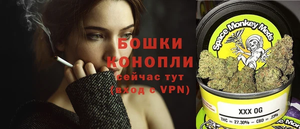 шишки Арсеньев