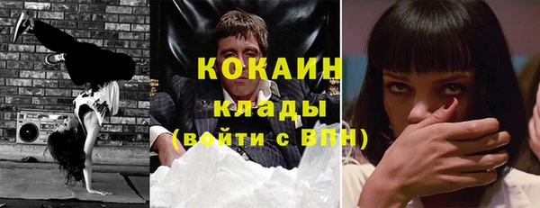 шишки Арсеньев