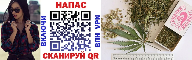 Купить где  Костомукша  Канабис Bruce Banner 